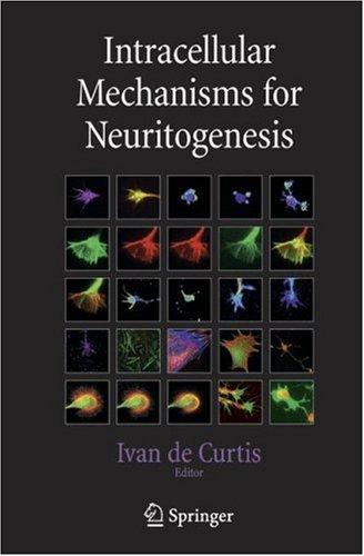 Intracellular Mechanisms for Neuritogenesis