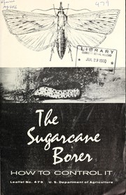 The sugarcane borer