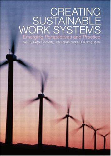 Creating Sustainable Work Systems