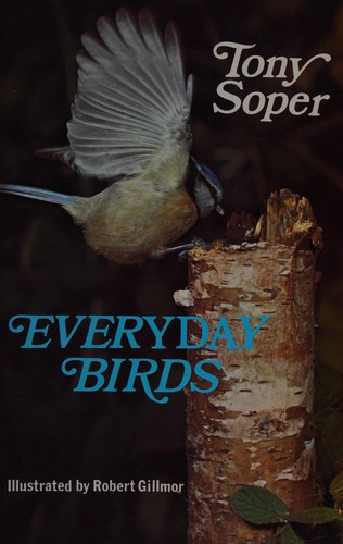 Everyday birds