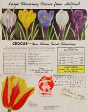 Single early tulip, Keizerskroon