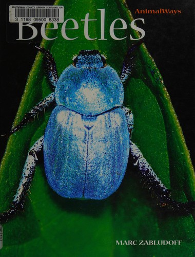 Beetles
