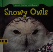 Snowy owls