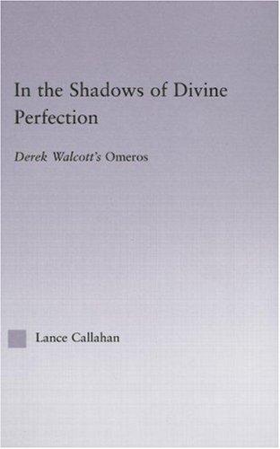 In the shadows of divine perfection