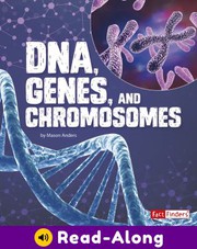 DNA, Genes, and Chromosomes