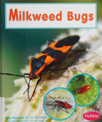 Milkweed bugs