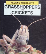 Grasshoppers and crickets