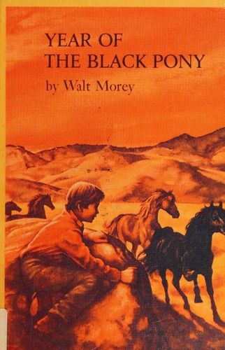 Year of the black pony