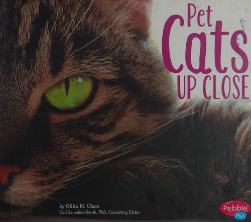 Pet Cats up Close