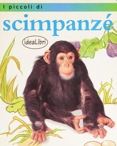 Scimpanzé