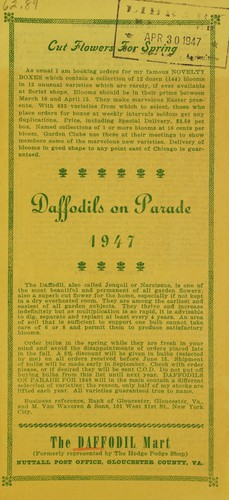 Daffodils on parade
