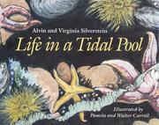Life in a tidal pool