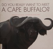 Do you really want to meet a cape buffalo?