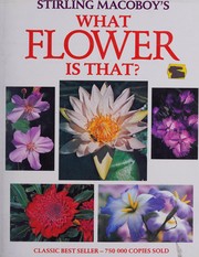 What flower is that?