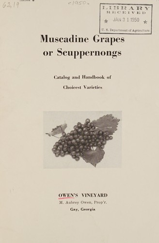Muscadine grapes or scuppernongs
