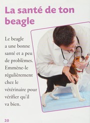 Le beagle