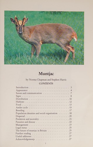 Muntjac