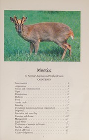 Muntjac