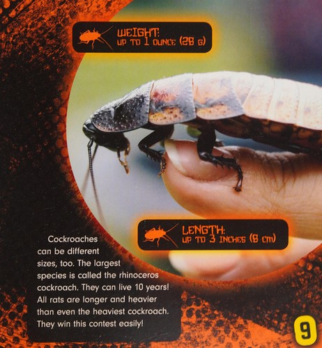 Rat vs. cockroach