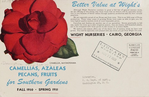 Camellias, azaleas, pecans, fruits for Southern gardens