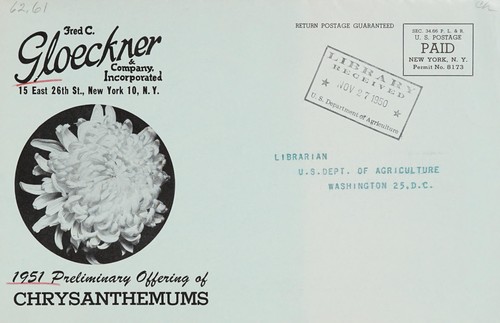 1951 preliminary offering of chrysanthemums