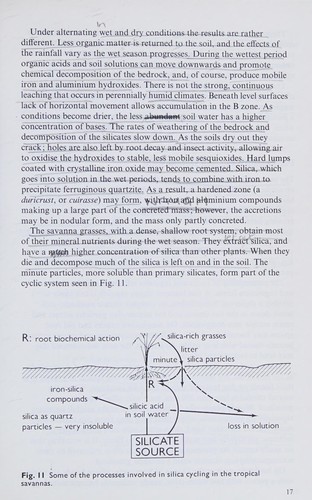 Tropical Savannas (Environmental Systems)