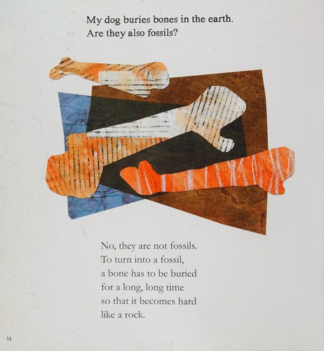 Fossils Tell Stories