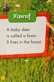 Baby deer