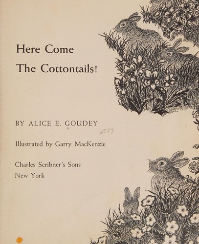Here come the cottontails!