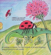 Ladybugs
