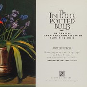 The indoor potted bulb
