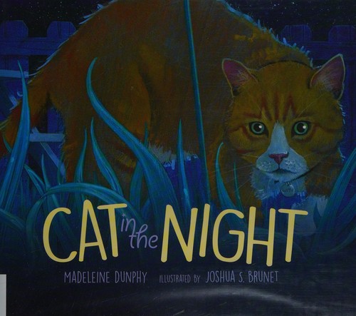 Cat in the Night