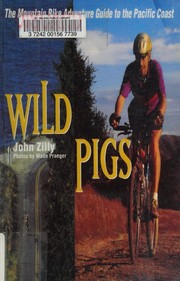 Wild pigs