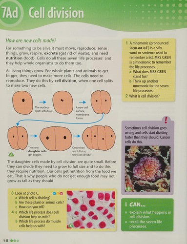 How Science Works Year 7