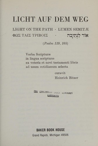 Light on the Path/Light Auf Dem Weg