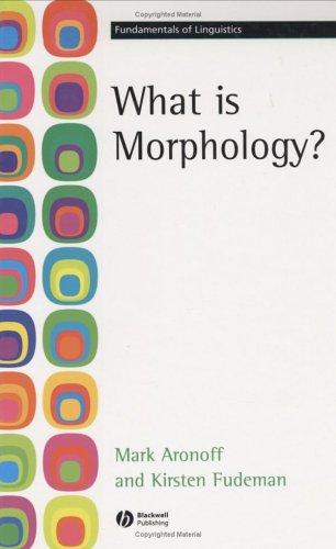 What is morphology?