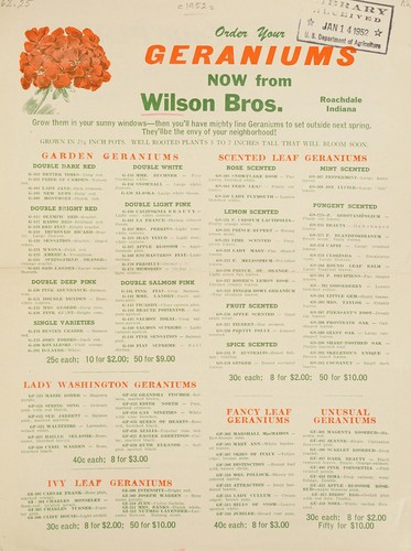 Order your geraniums now from Wilson Bros