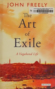 Art of Exile