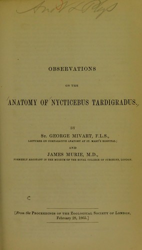 Observations on the anatomy of Nycticebus tardigradus