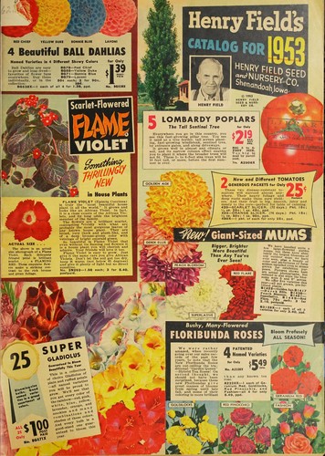 Henry Field's catalog for 1953