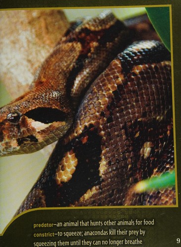 Anacondas