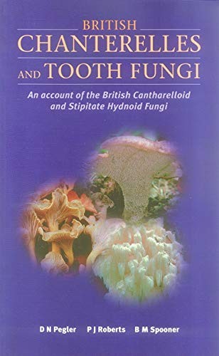 British Chanterelles & Tooth-Fungi