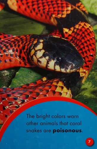 Coral snakes