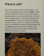 In the Soil (Use Your Eyes)