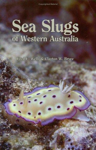 Sea slugs and their relatives of Western Australia