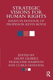Strategic Visions for Human Rights