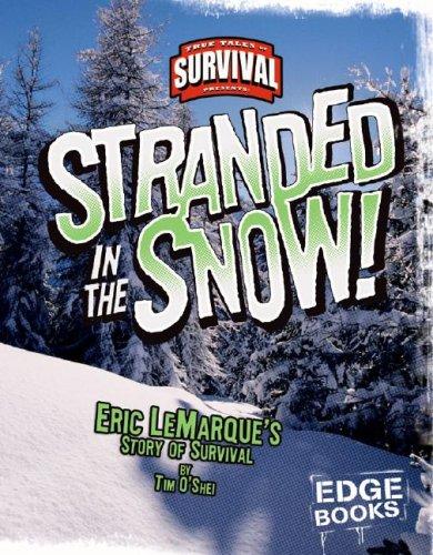 Stranded in the Snow!