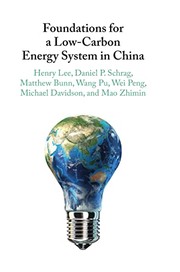Foundations for a Low-Carbon Energy System in China