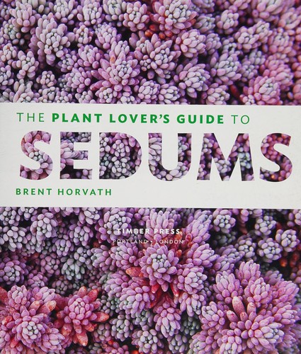 The plant lover's guide to sedums