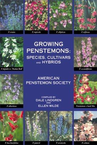 Growing penstemons